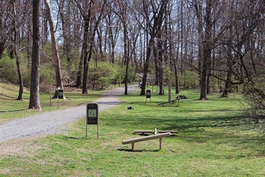 Cardinal-Park.jpeg