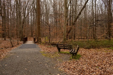 Daniels-Run-3.jpg