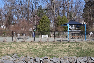 Dog-Park-1.jpg