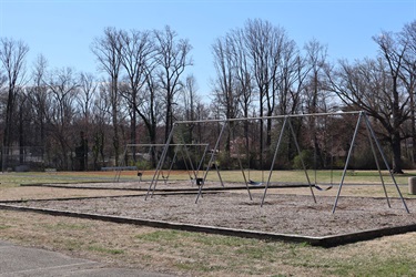 Dog-Park-11.jpg