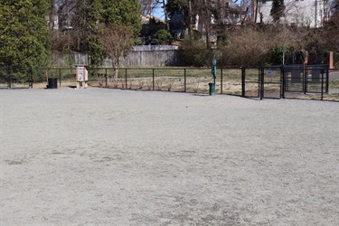 Dog-Park-14.jpg