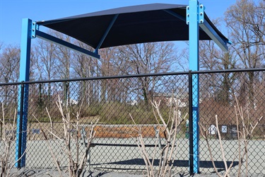 Dog-Park-15.jpg