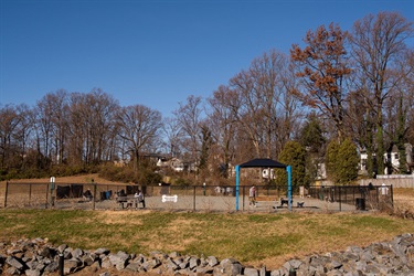 Dog-Park-2.jpg