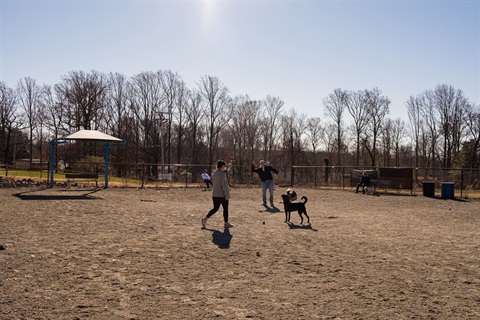 Dog-Park-4.jpg