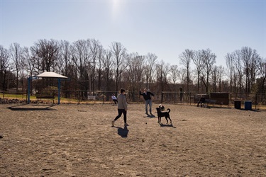 Dog-Park-4.jpg