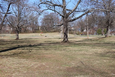 Dog-Park-5.jpg