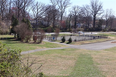 Dog-Park-9.jpg
