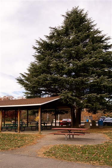 Van-Dyck-Park-5.jpg