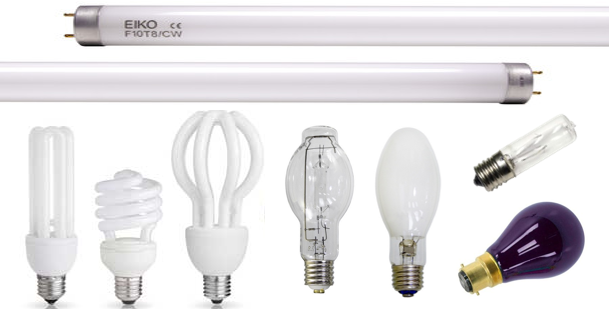 Various types of light bulbs