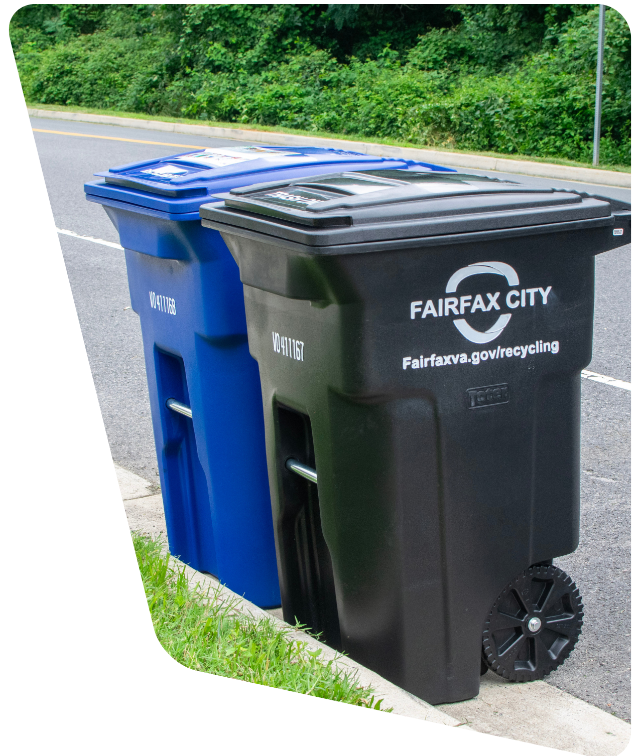 Blue and black trash and recycling bins sitting at edge of curb. 