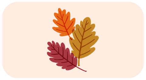fall leaves