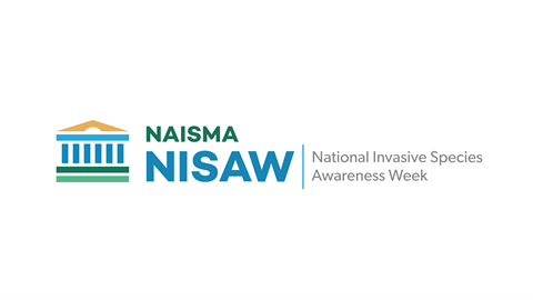 NISAW Logo.png