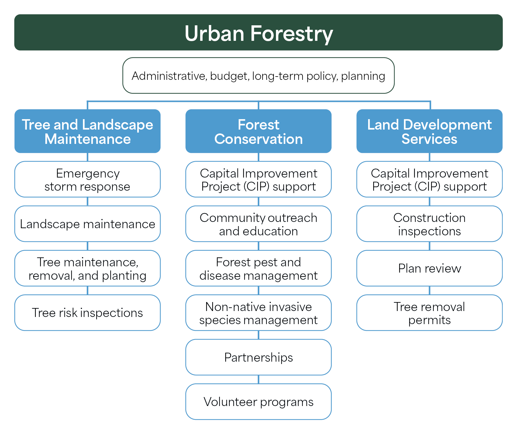 Urban forestry organizational chart