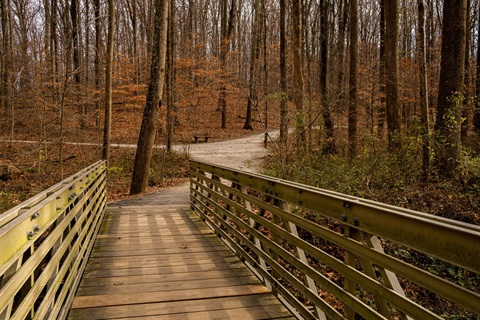 wood bridge leading to park trail