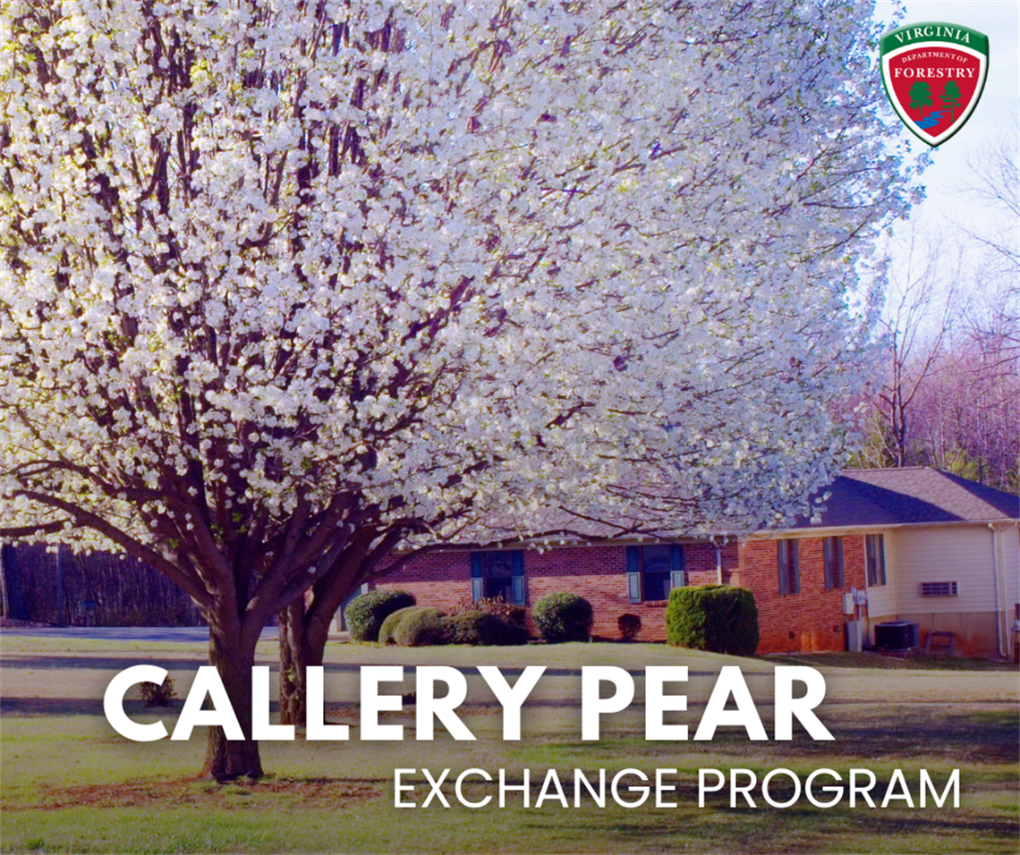 Callery Pear Exchange Program