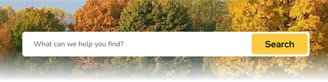 Screenshot of homepage search bar.